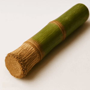 Schilfrohr Rhizom (Lu Gen)