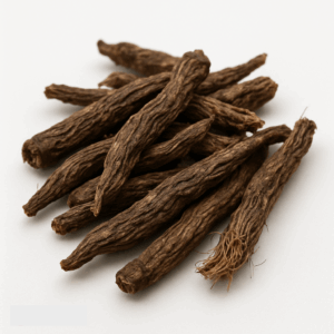 Violette Asterwurzel (Zi Wan)