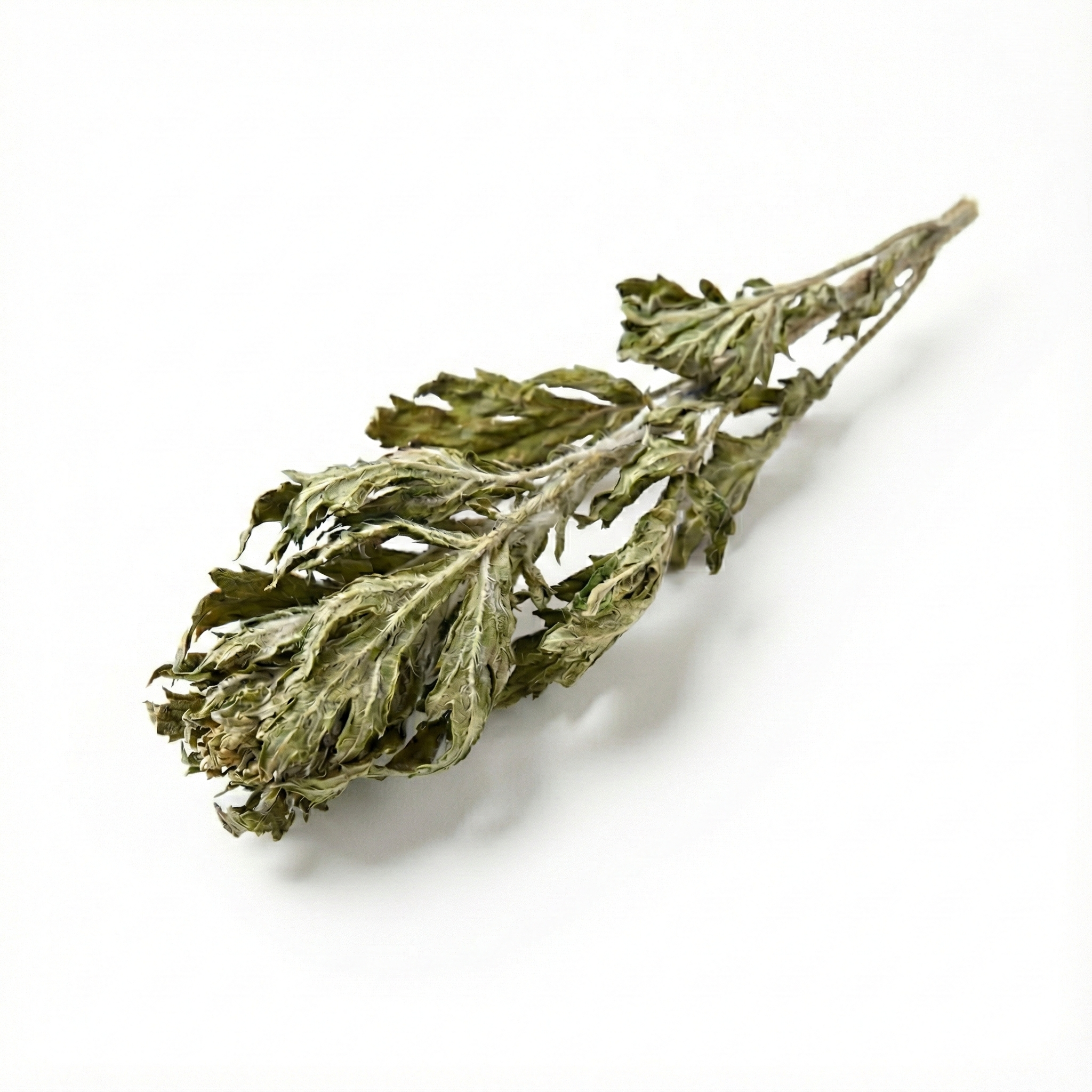 Beifußblatt (Ai Ye)