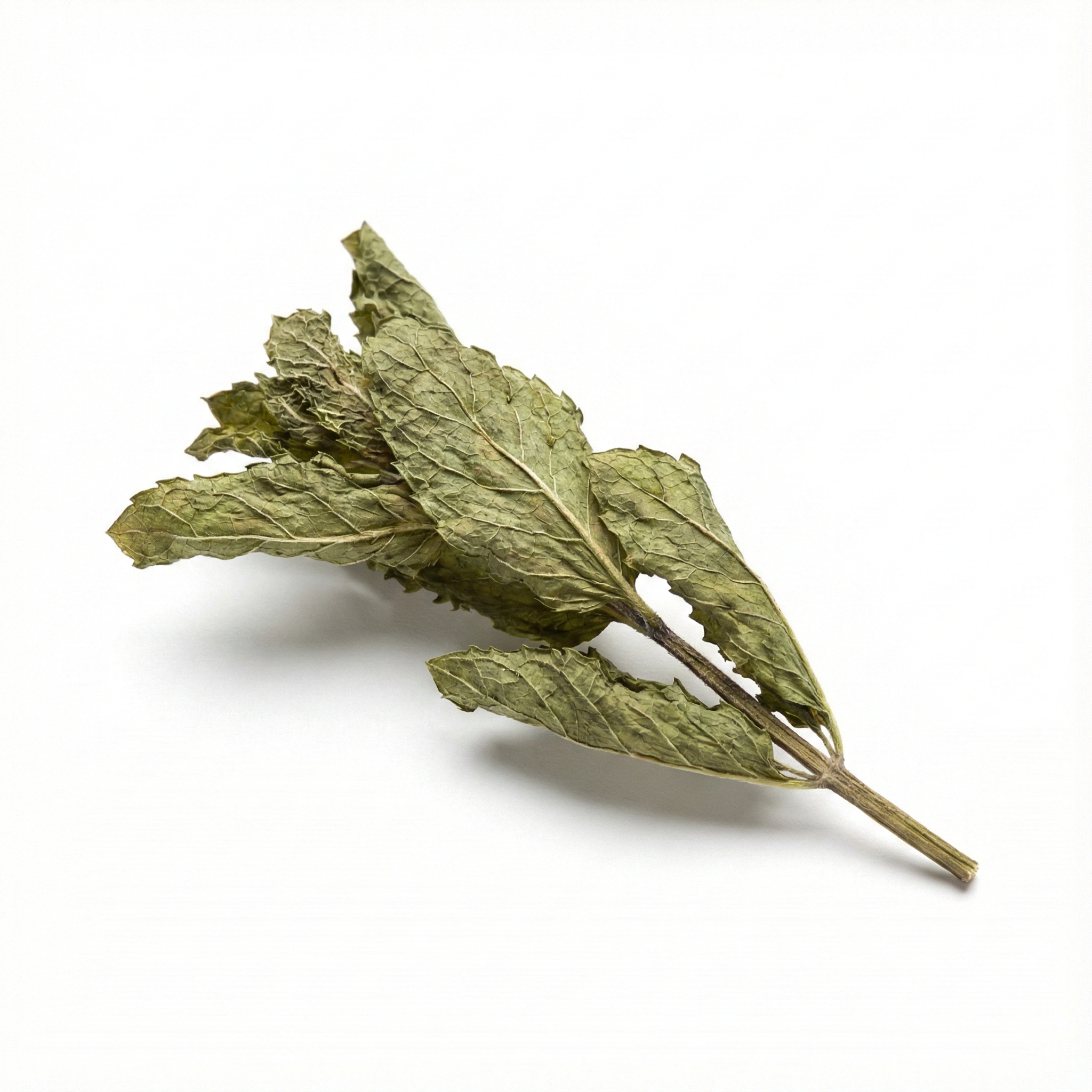 Chinesische Minze Oberirdische Teile (Bo He)