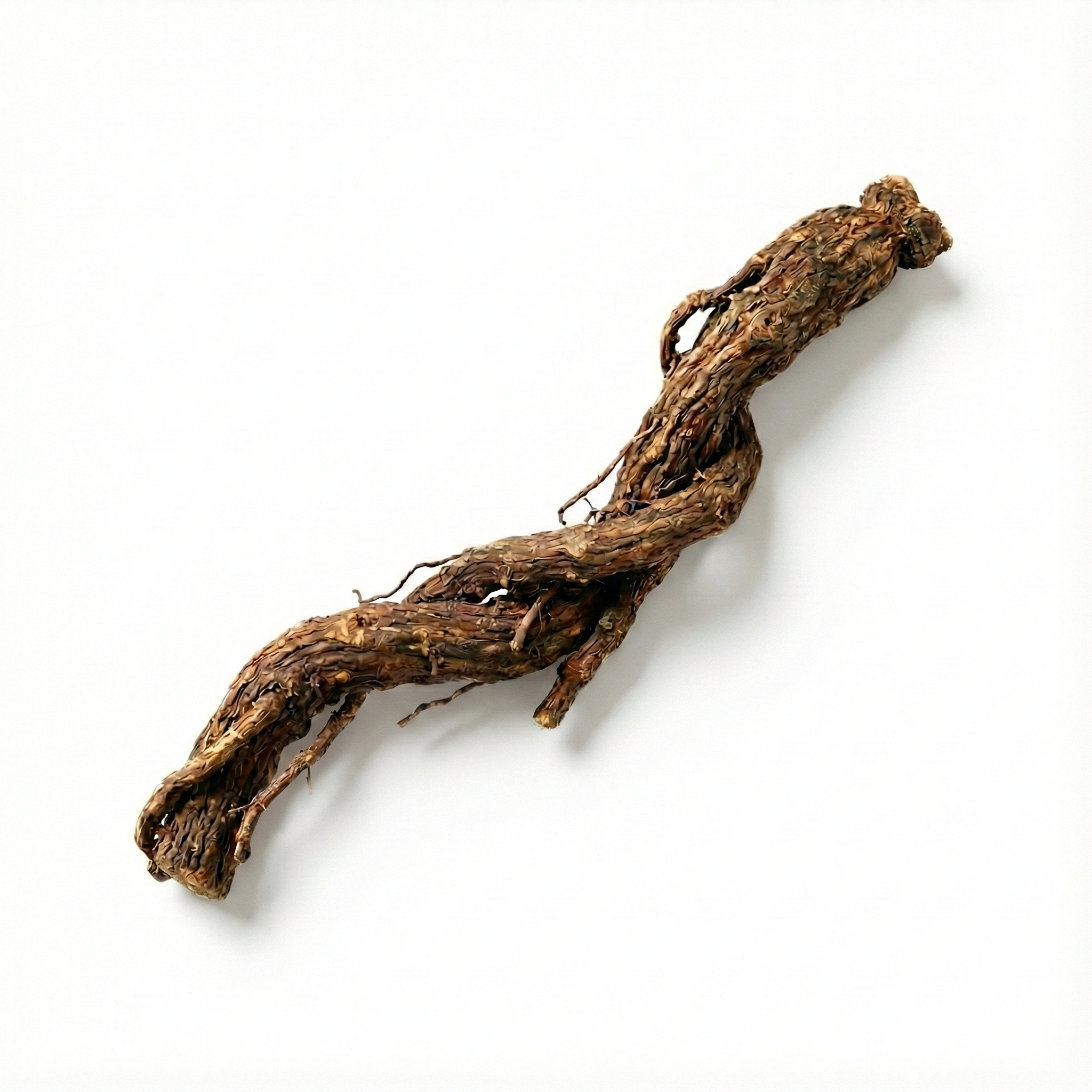 Cyathula-Wurzel (Chuan Niu Xi)