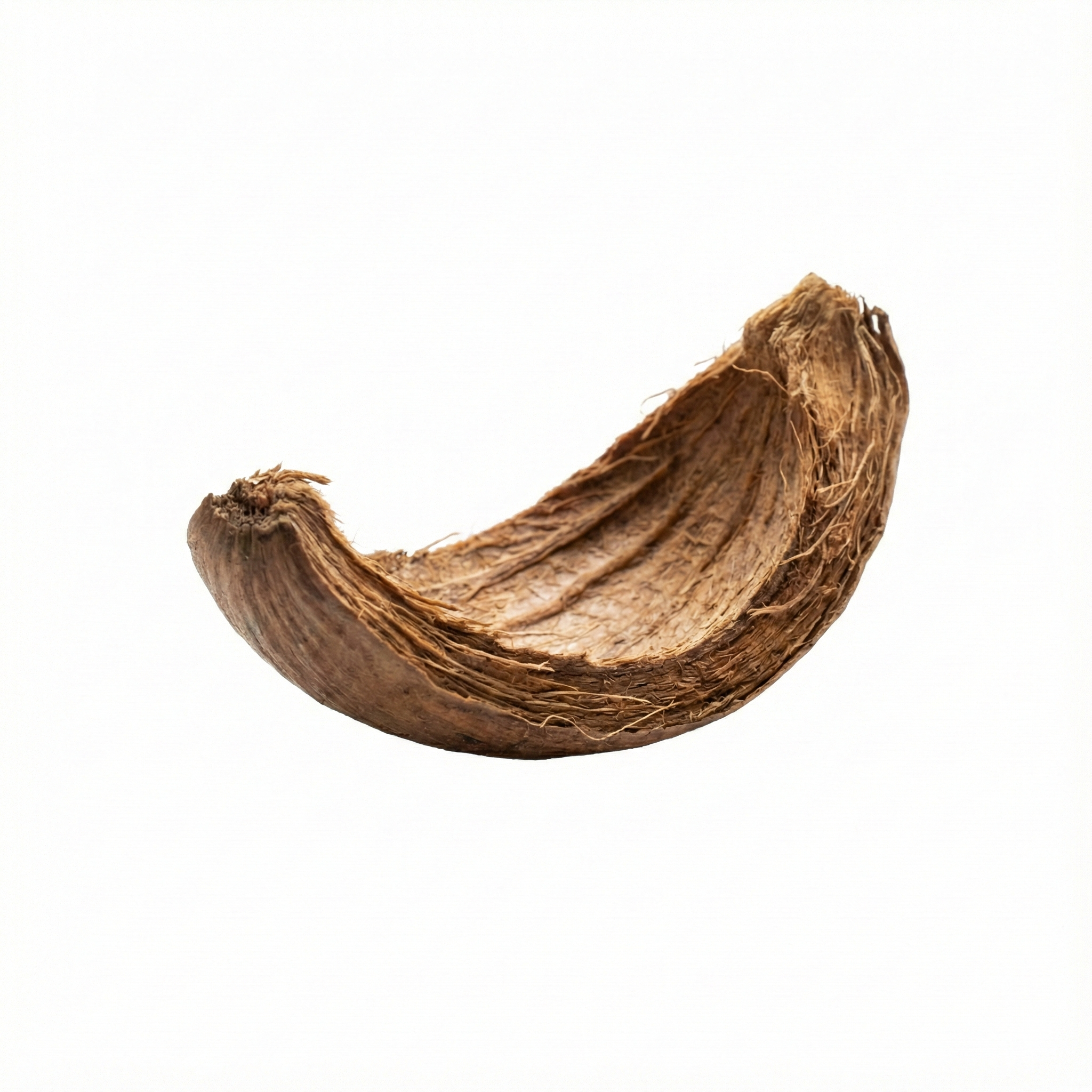 Areca-Peeling (Da Fu Pi)