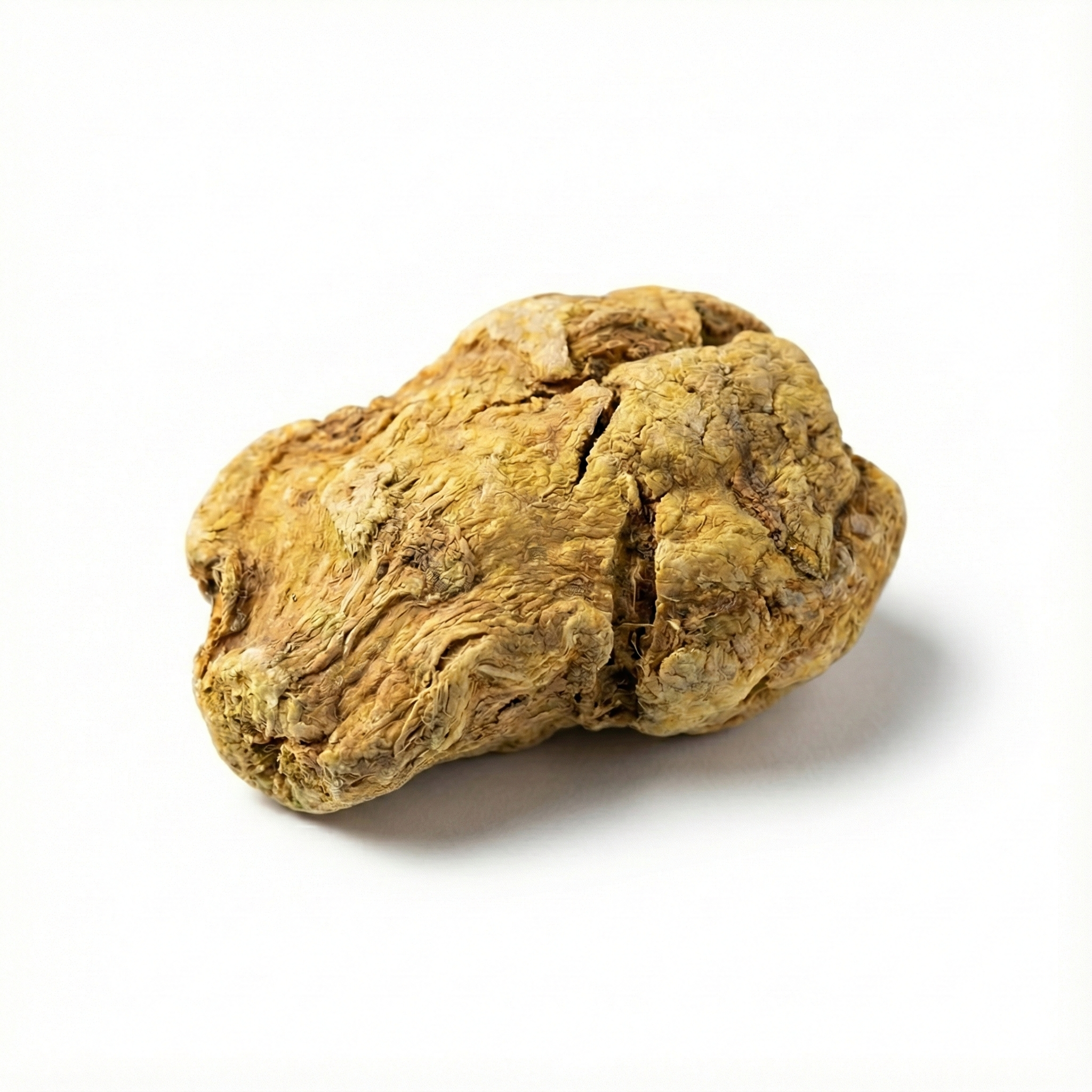 Galle-verarbeitetes Arisaema (Dan Nan Xing)