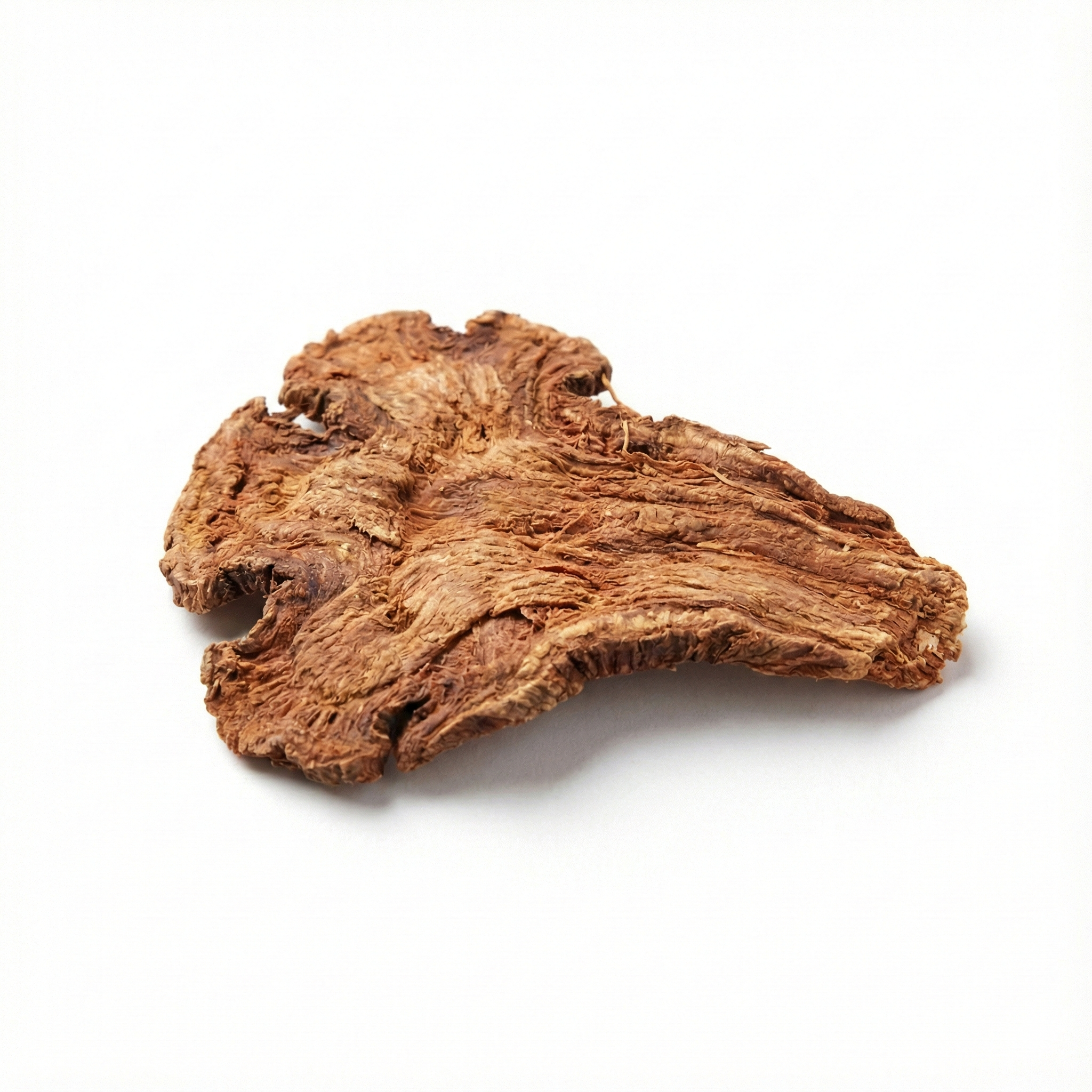 Chinesische Angelikawurzel (Dang Gui)