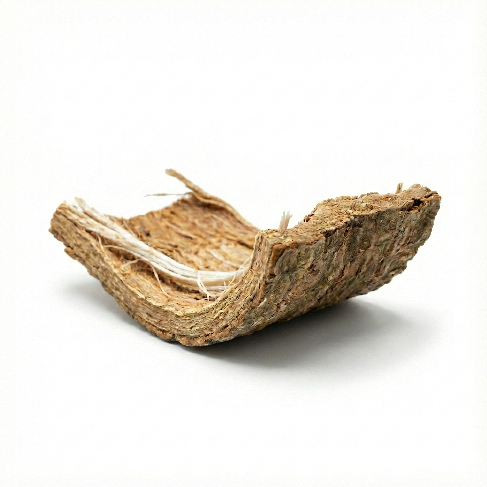 Eucommia-Rinde (Du Zhong)