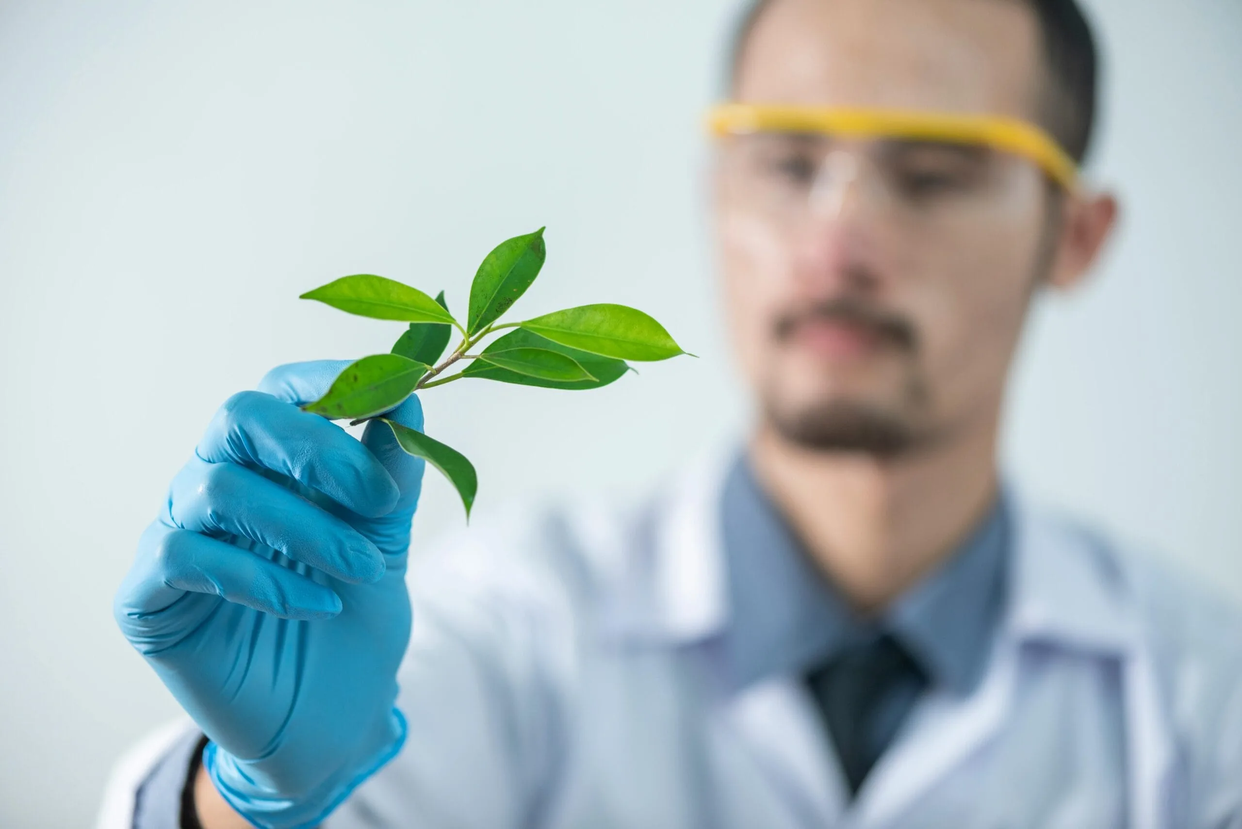 Leaf lab