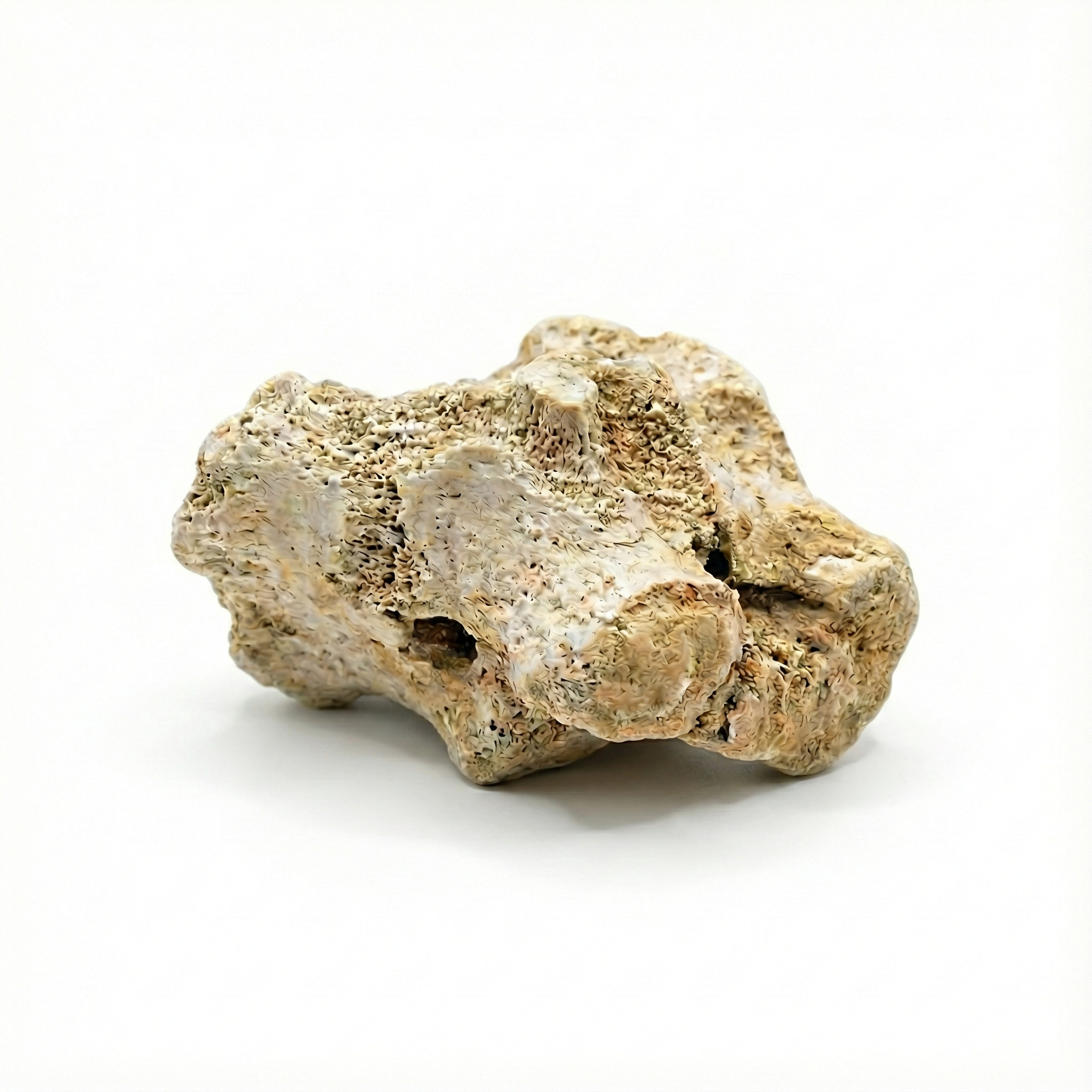 Drachenknochen (Long Gu)