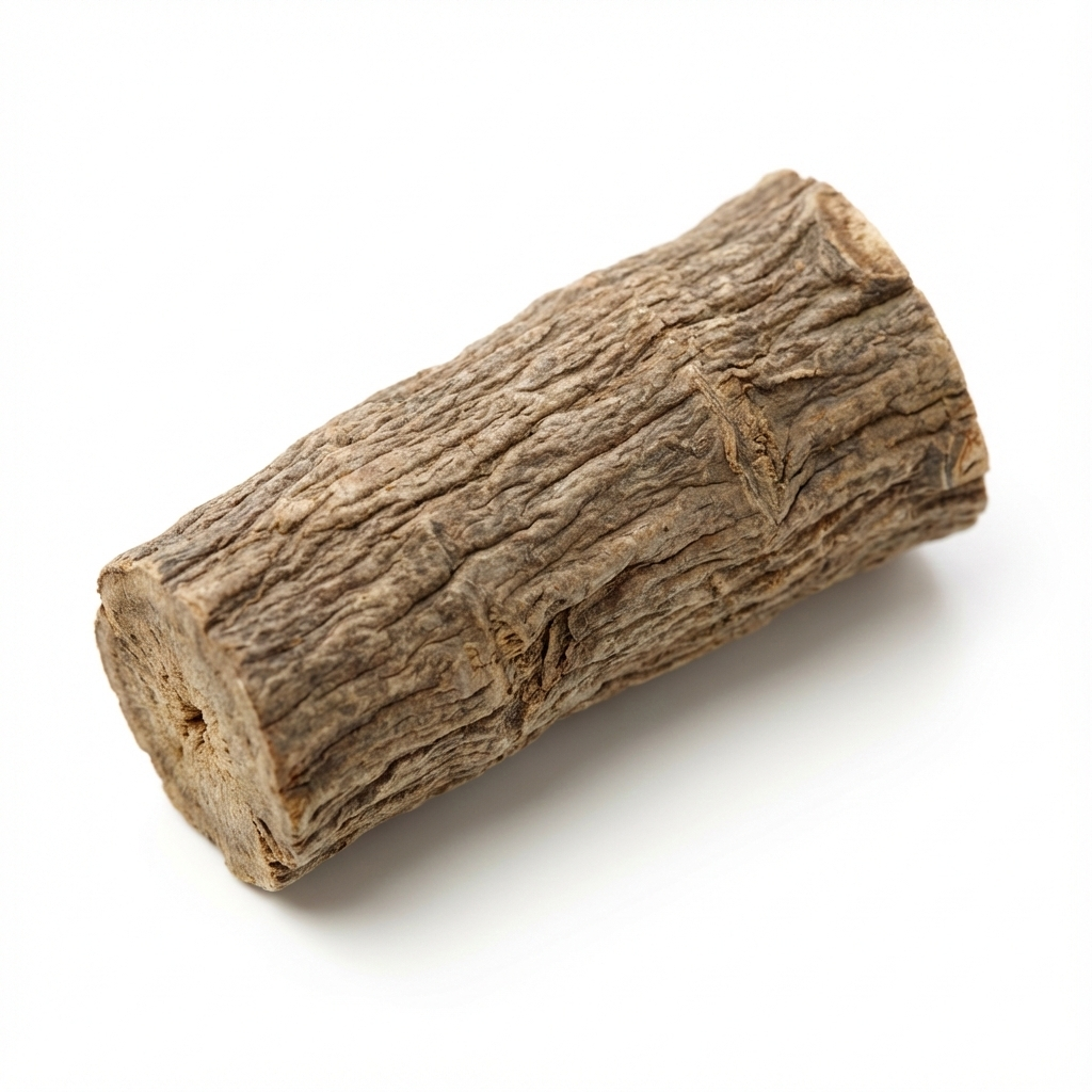 Costus Wurzel (Mu Xiang)