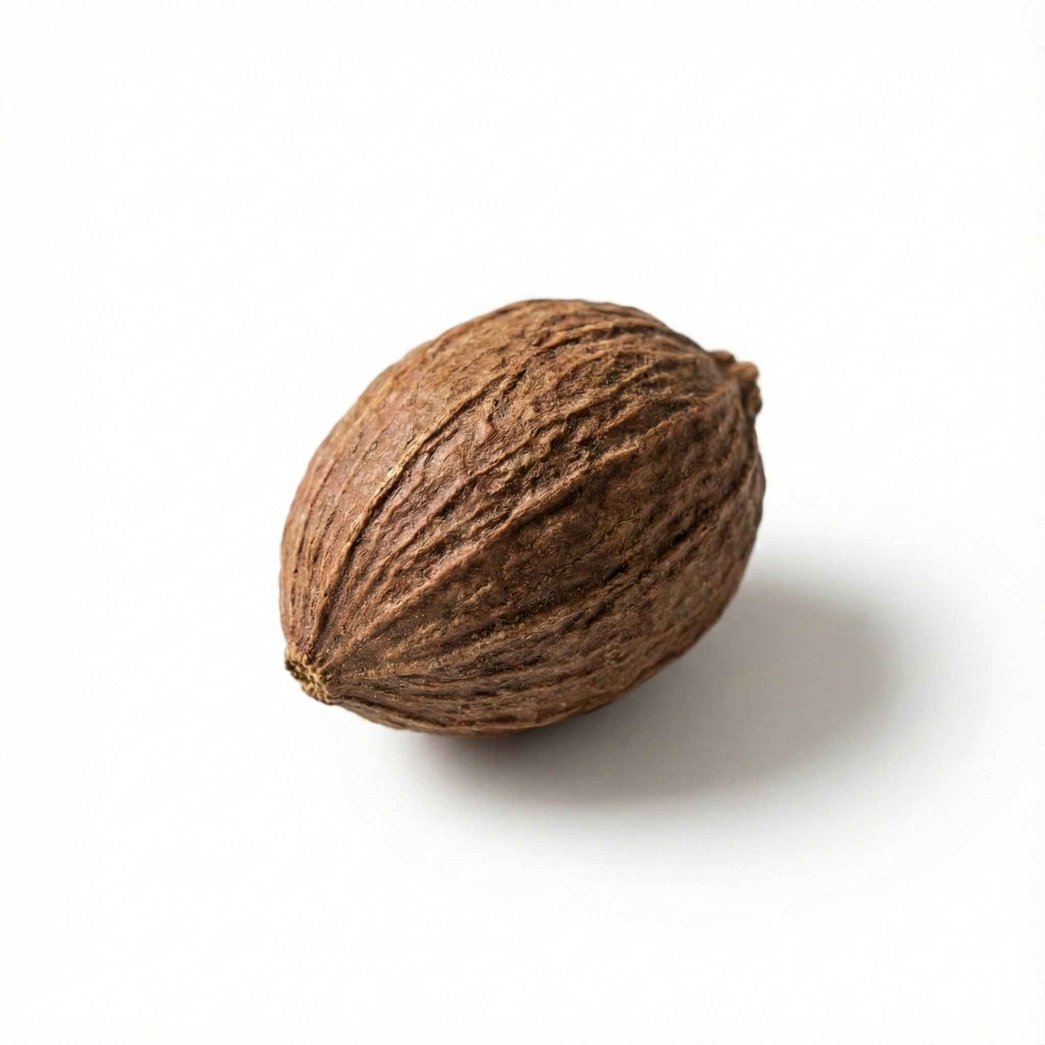 Amomum Frucht (Sha Ren)