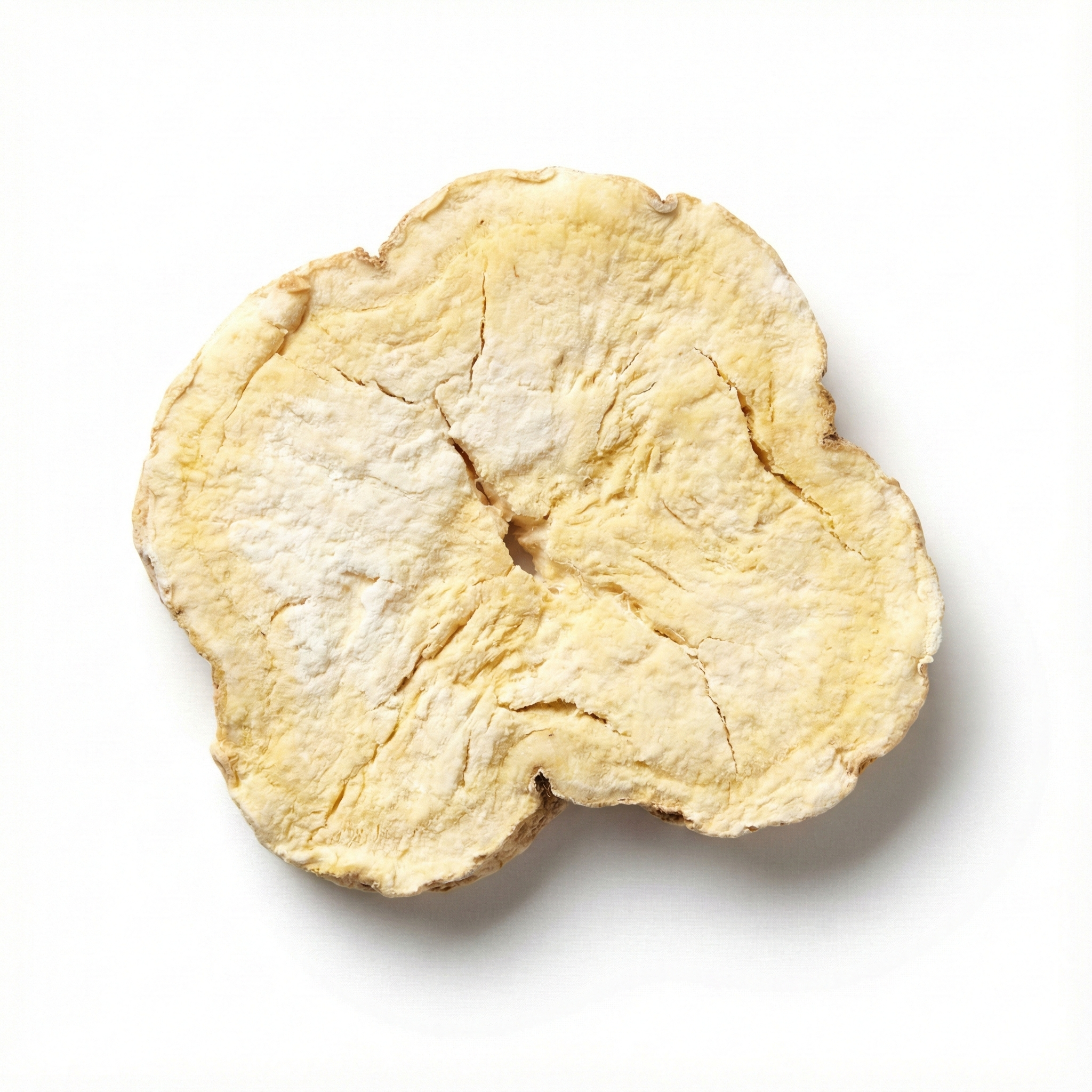 Chinesische Yamswurzel (Shan Yao)