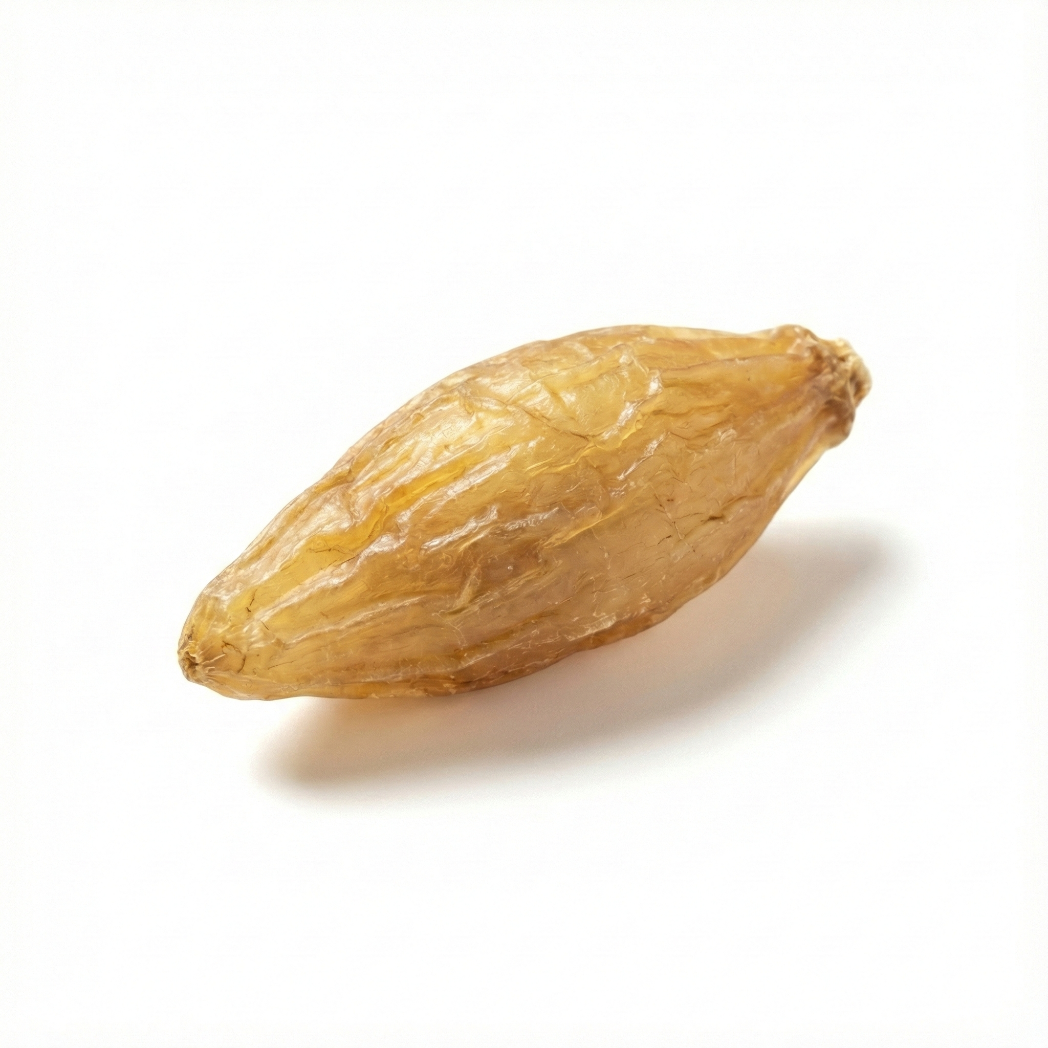 Wurzelknolle des chinesischen Spargels (Tian Men Dong)