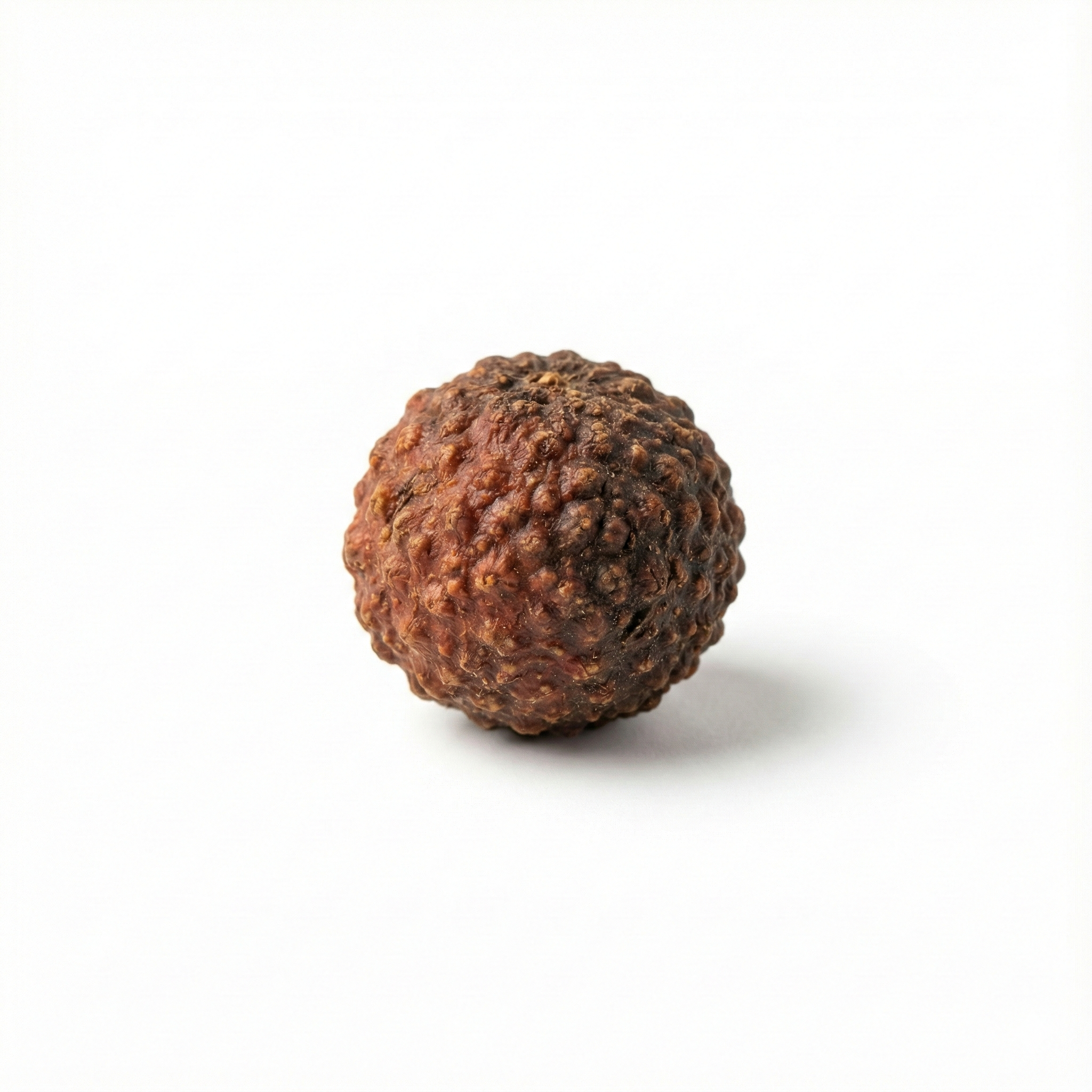 Evodia-Frucht (Wu Zhu Yu)