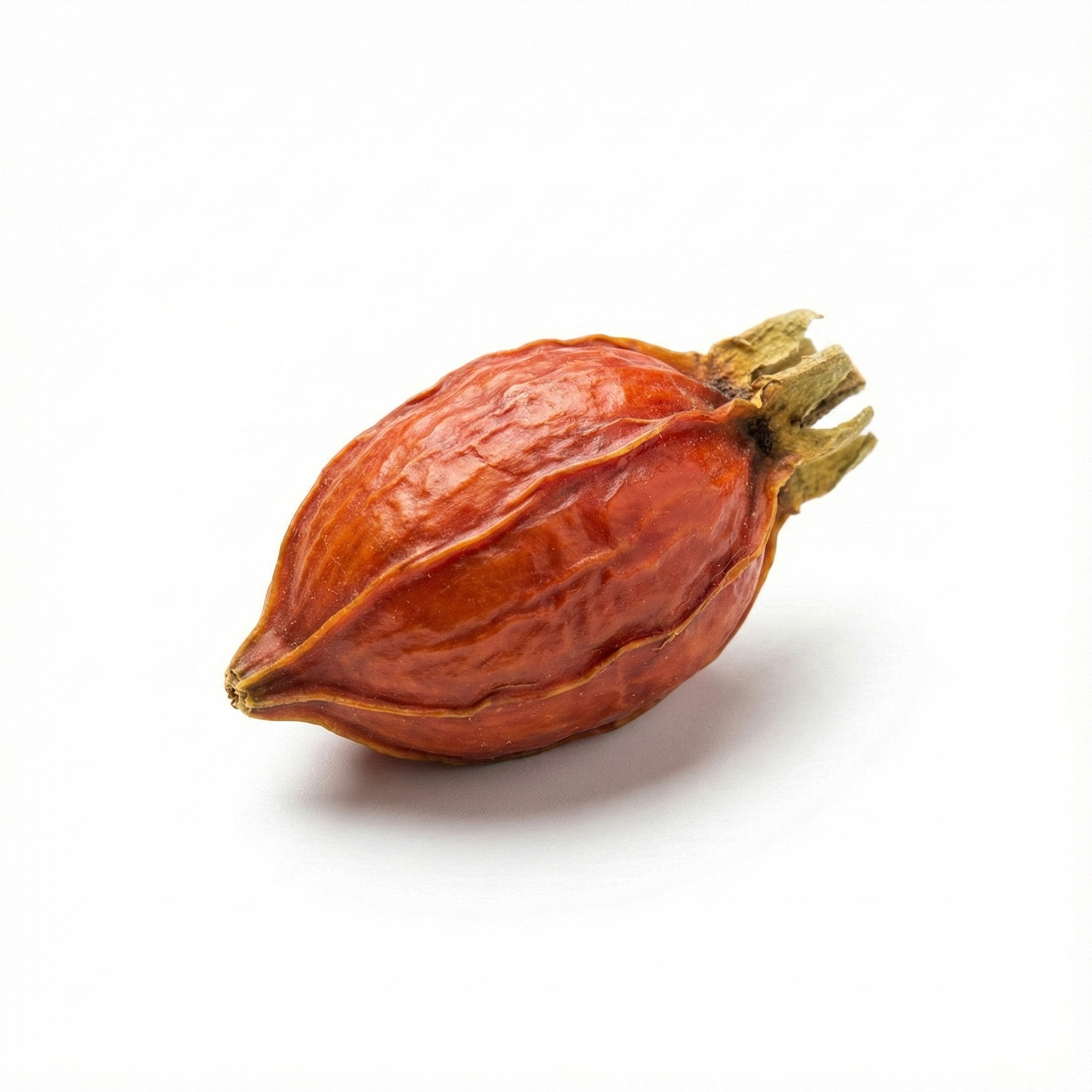 Gardenienfrucht (Zhi Zi)