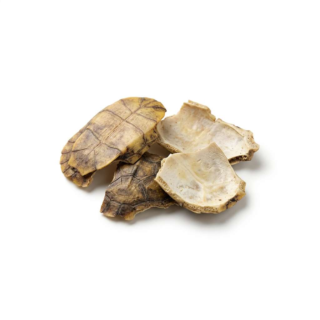 Süßwasserschildkröten-Panzer (Gui Ban)