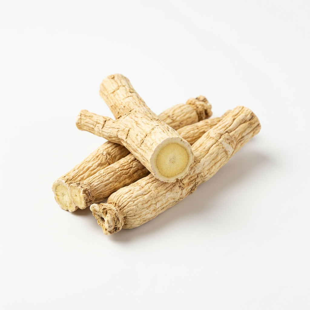 Platycodon-Wurzel (Jie Geng)