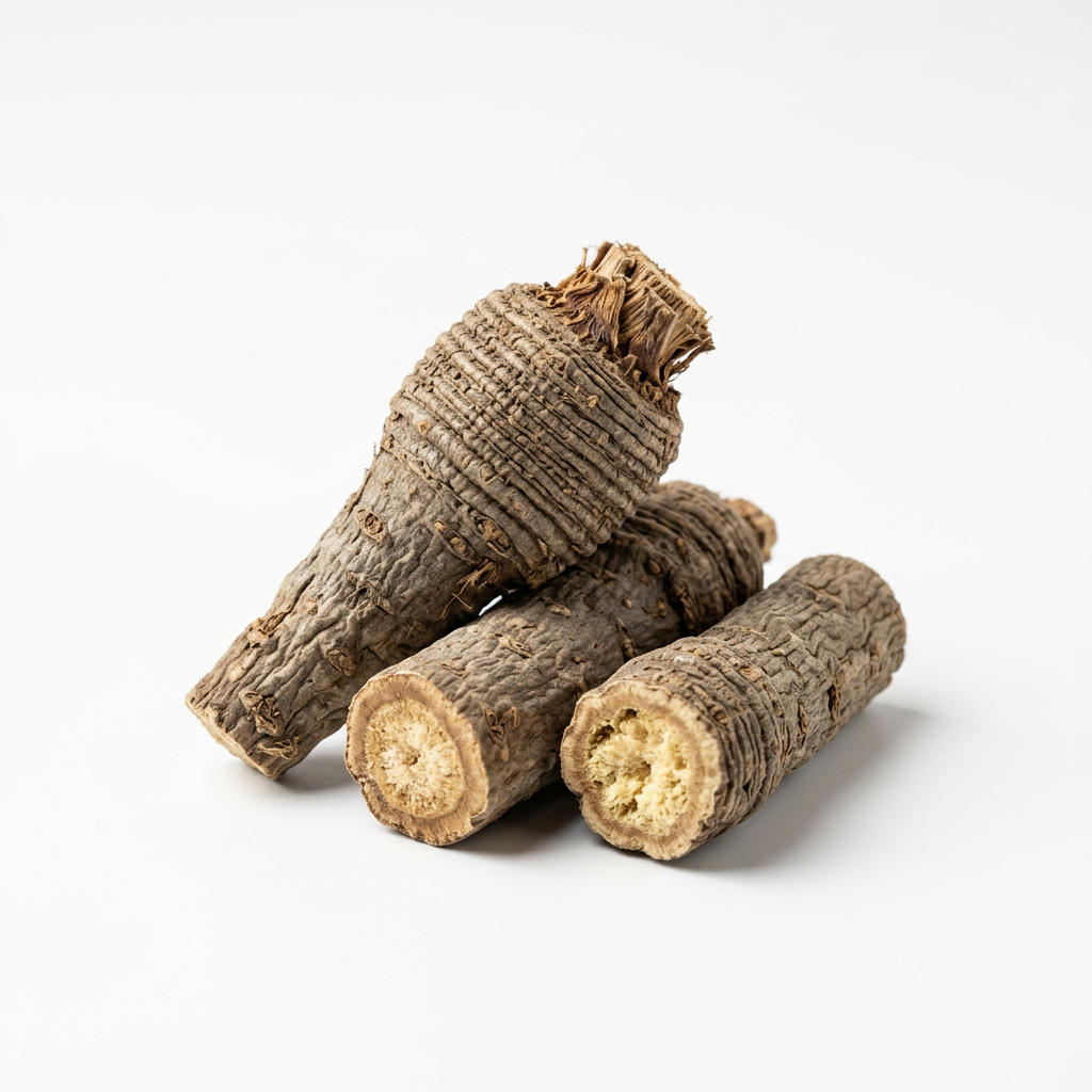 Peucedanum-Wurzel (Qian Hu)