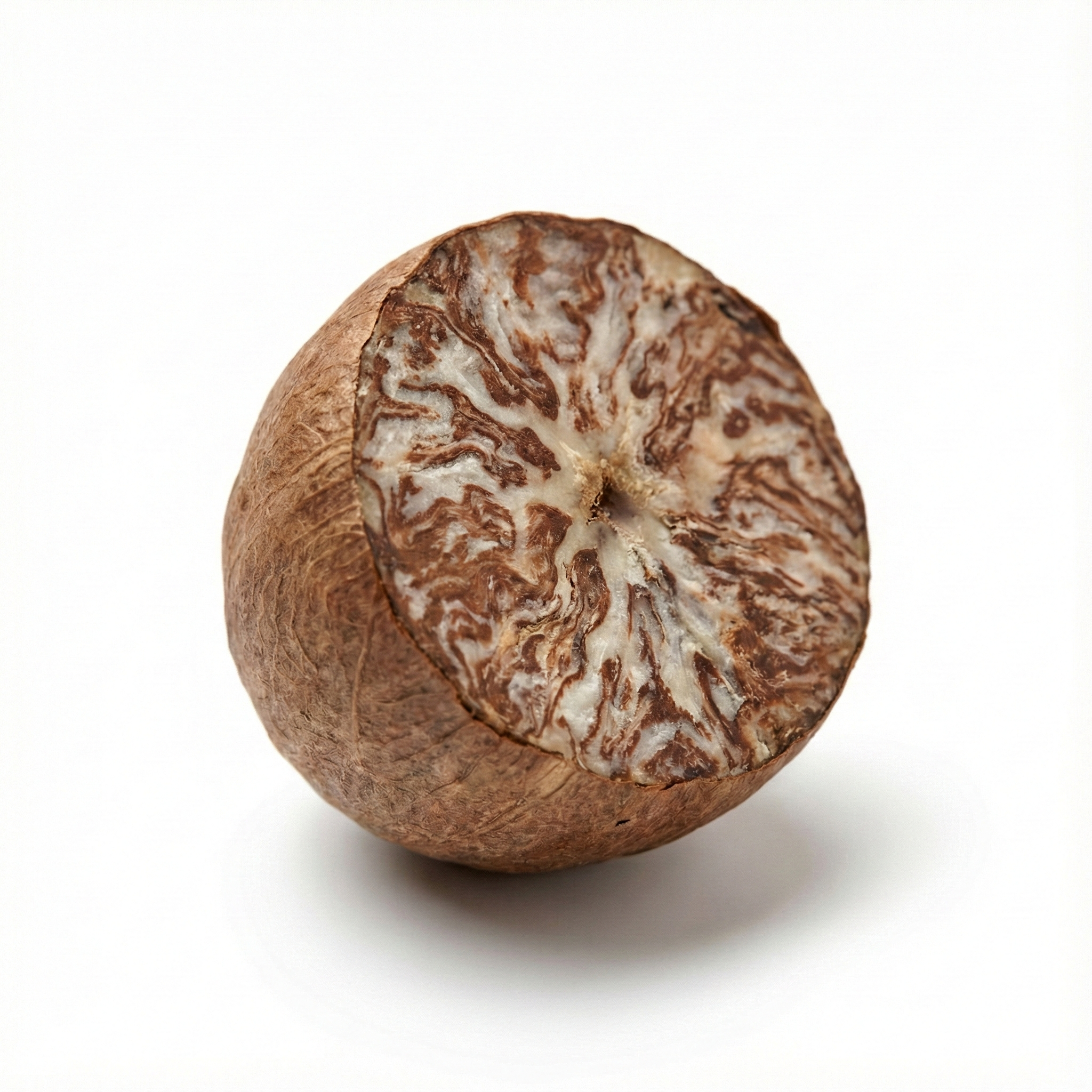 Areca-Samen (Bing lang)