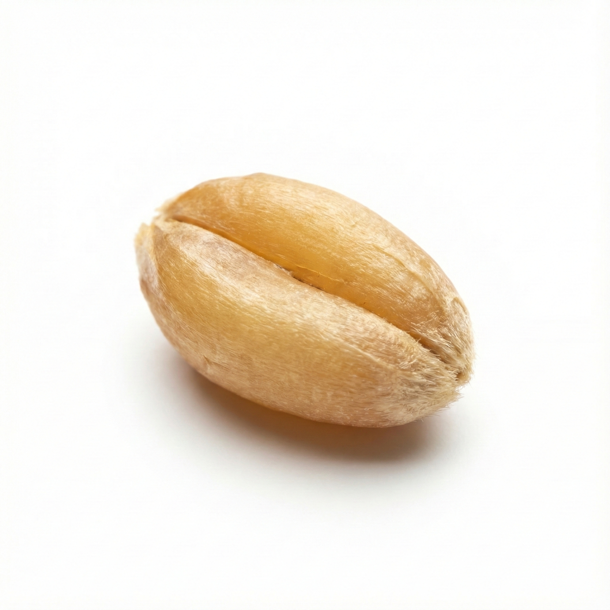 Leichter Weizen (Fu Xiao Mai)