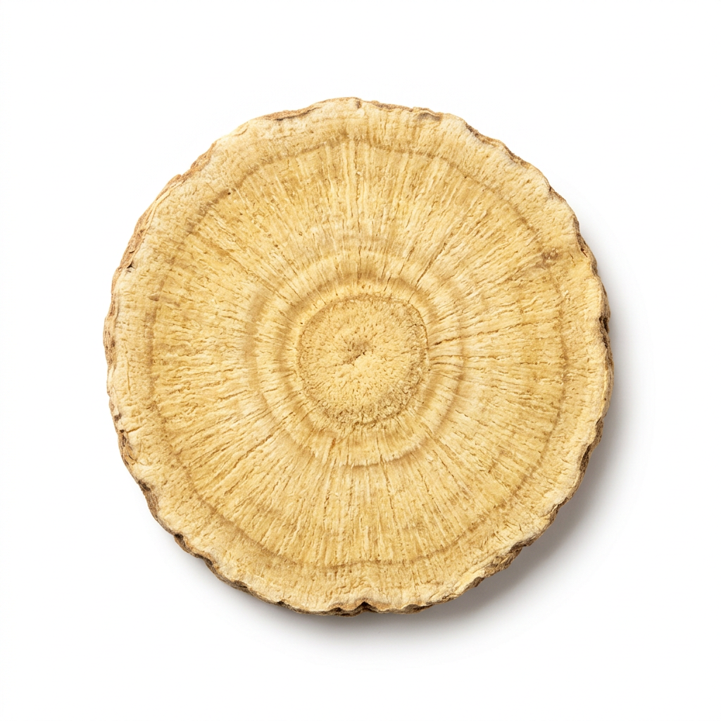 Astragalus-Wurzel (Huang Qi)