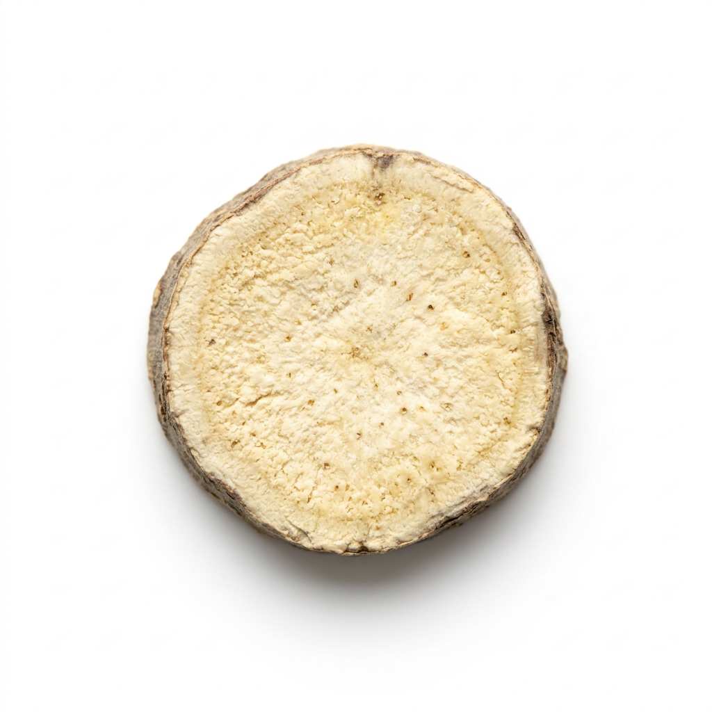 Atractylodes Rhizom (Bai Zhu)