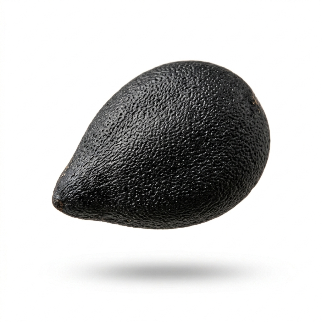 Schwarze Sesamsamen (Hei Zhi Ma (Hu Ma))