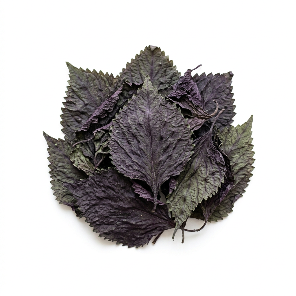 Perilla-Blatt (Zi Su Ye)
