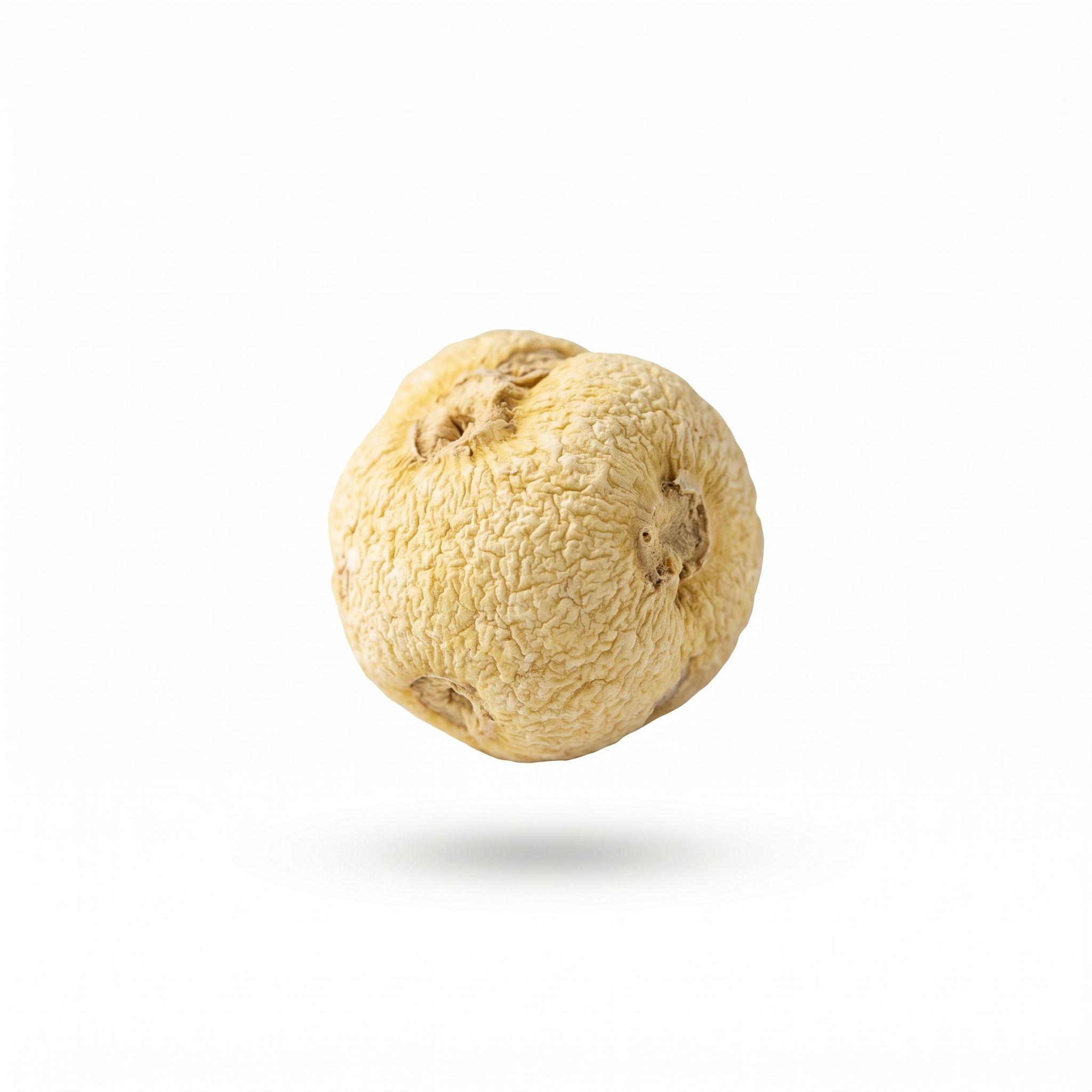 Pinellia Rhizom (Ban Xia)