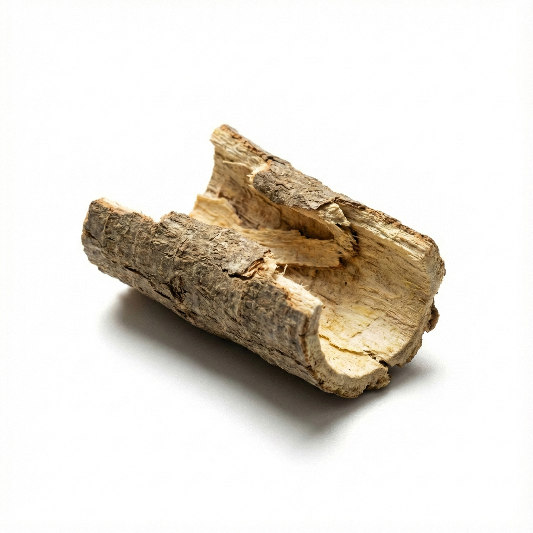 Diptam-Wurzelrinde (Bai Xian Pi)