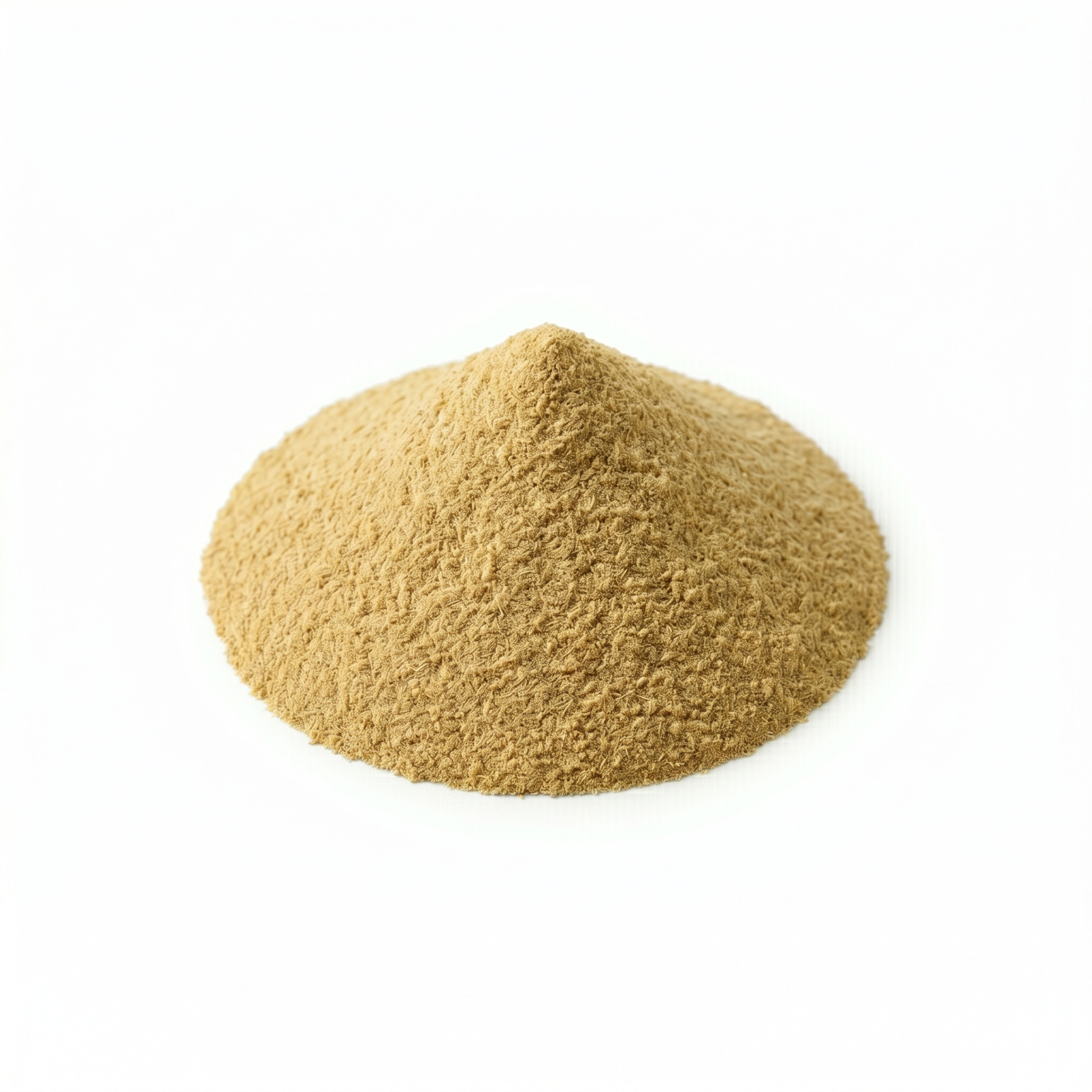 Getrocknetes Fenchelsamenpulver (Huí xiāng zǐ fěn / xiǎo huí xiāng zǐ fěn)