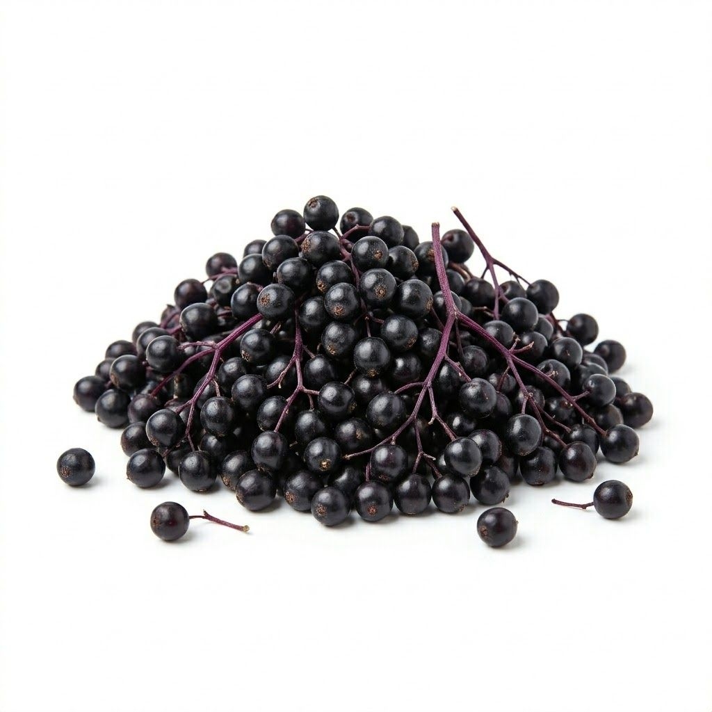 Holunderbeere (Jiē gǔ mù méi)