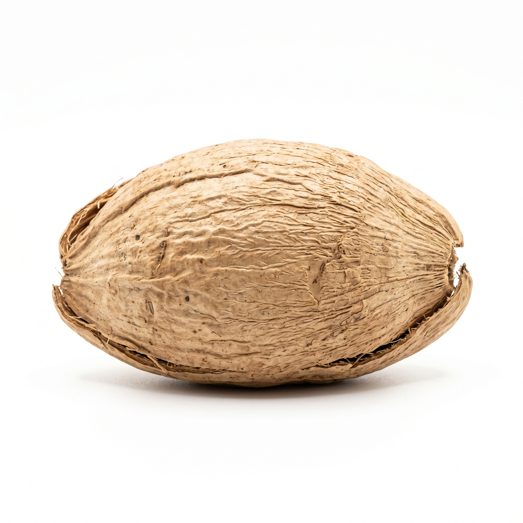 Areca-Peeling (Da Fu Pi)