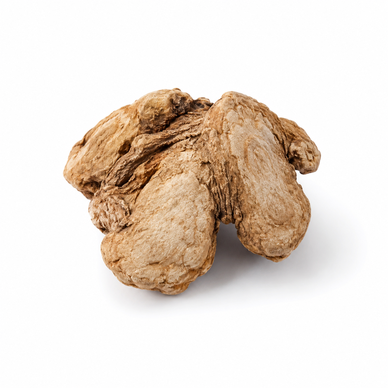 Pinellia Ingwer-geräuchertes Rhizom (Ban Xia (Jiang))