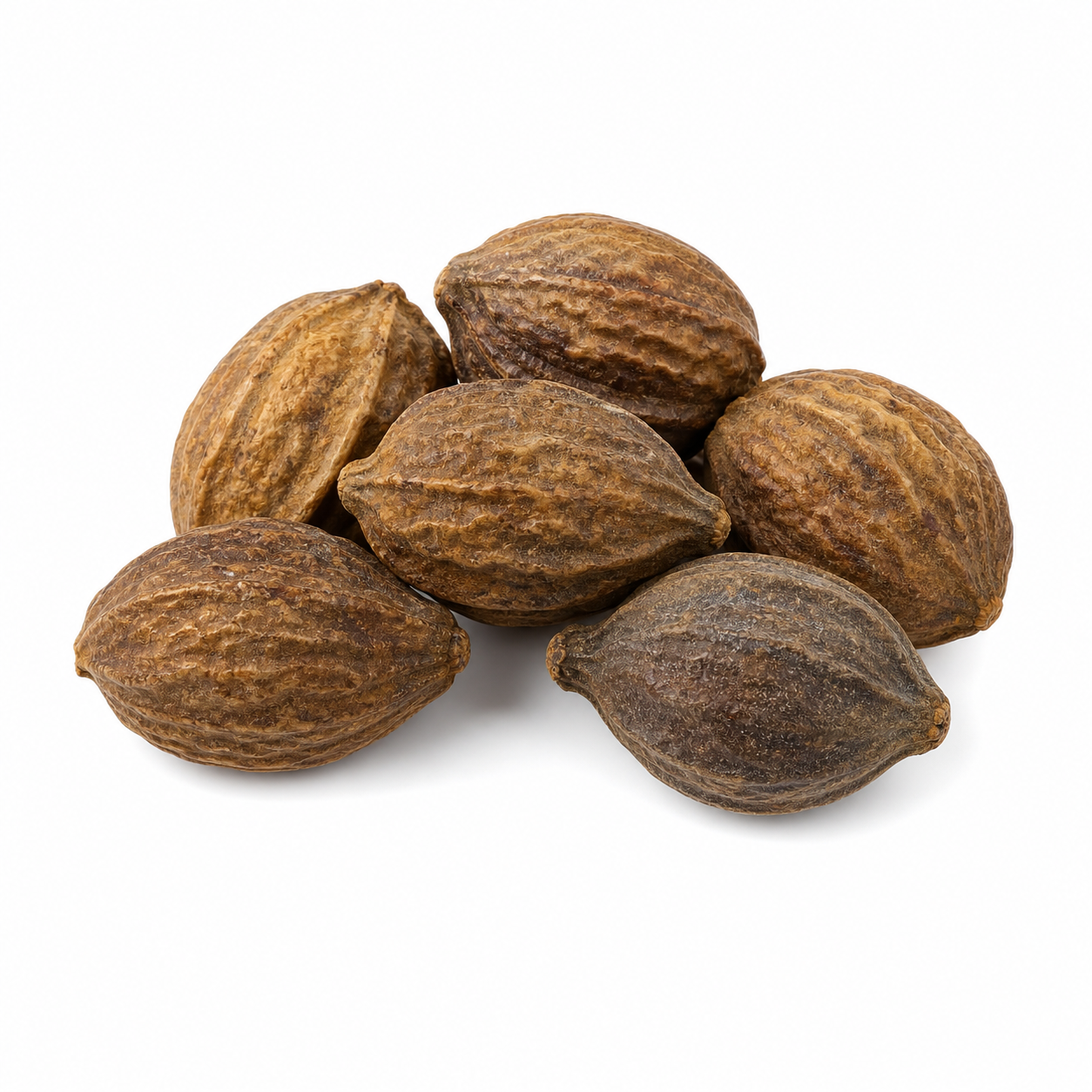 Terminalia-Frucht (He Zi)